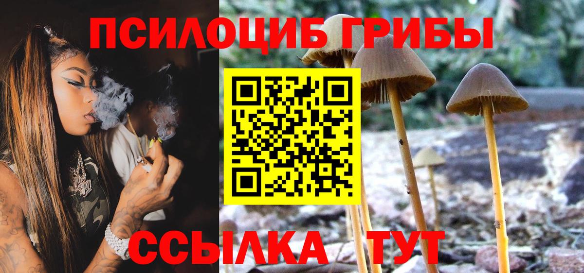 Обь  Псилоцибиновые грибы MAGIC MUSHROOMS  Псилоцибиновые грибы GOLDEN TEACHER  Вход с VPN 